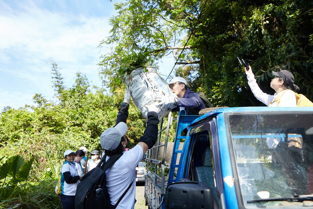 友達串聯志工組成水環境巡守隊，針對霄裡溪沿岸3公里的小花蔓澤蘭，定期進行移除與防治工作